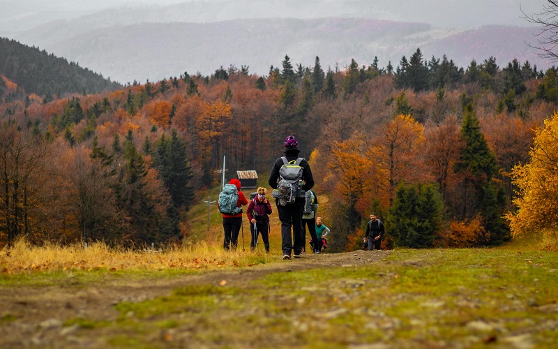 Ubezpieczenie turystyczne a praca za granicą – jak wybrać najlepszą ochronę?