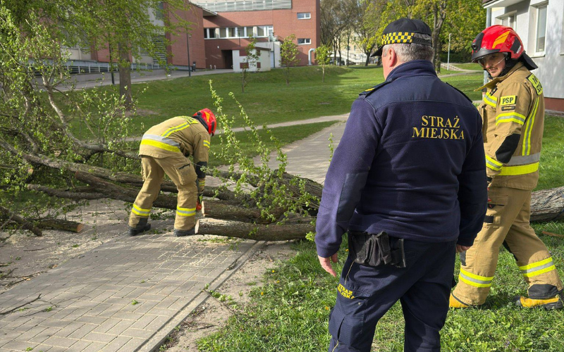 Wiatr uszkodził dach, połamał drzewa