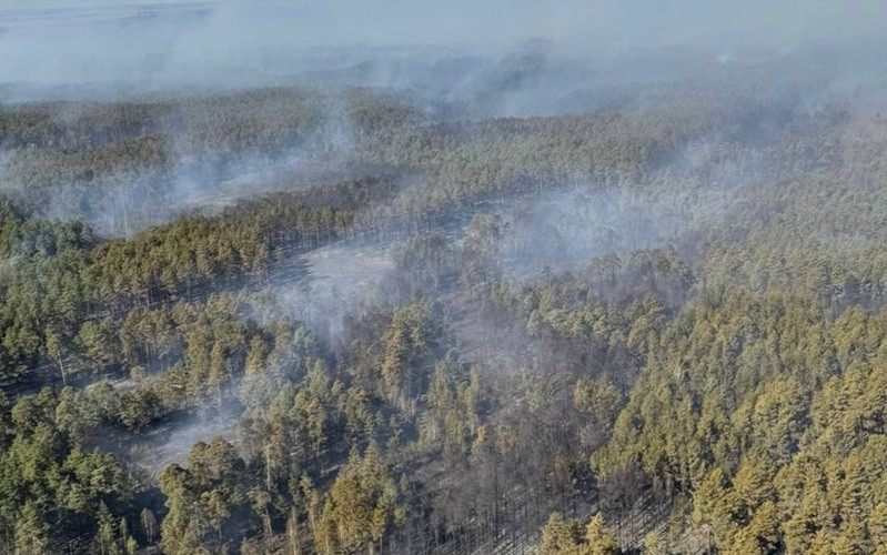 Pożar w Puszczy Solskiej: świdnickie jednostki walczą z żywiołem