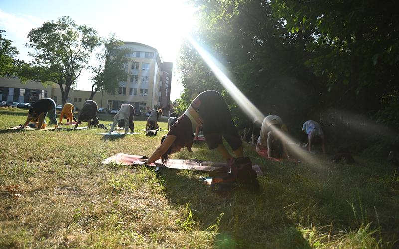 Daj się porwać kulturze (foto)